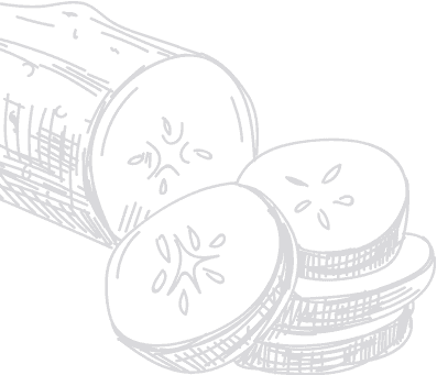 agriculture-2-xym-4
